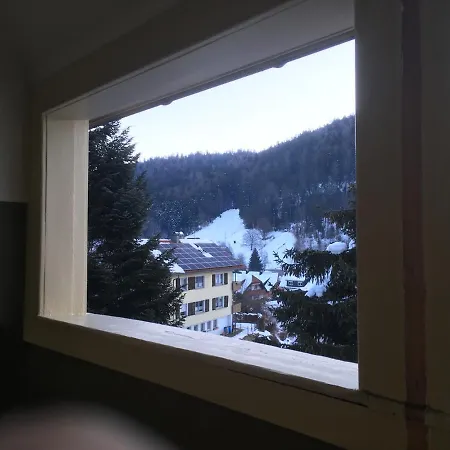 Haus Silberdistel Apartment Todtmoos Exterior photo