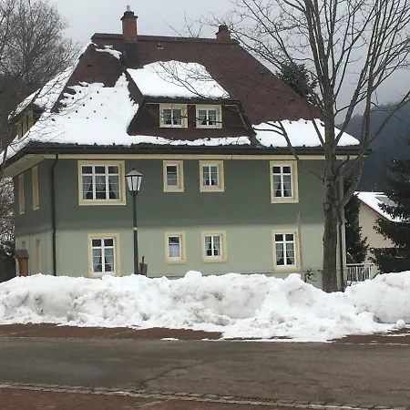 Haus Silberdistel Apartment Todtmoos Exterior photo