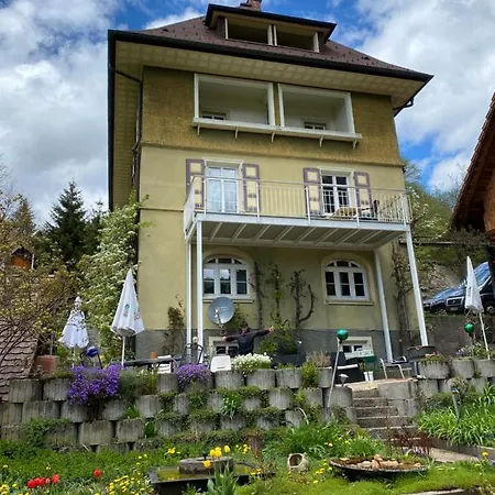 Haus Silberdistel Apartment Todtmoos Exterior photo