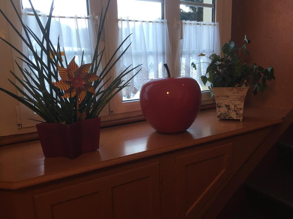 Haus Silberdistel Apartment