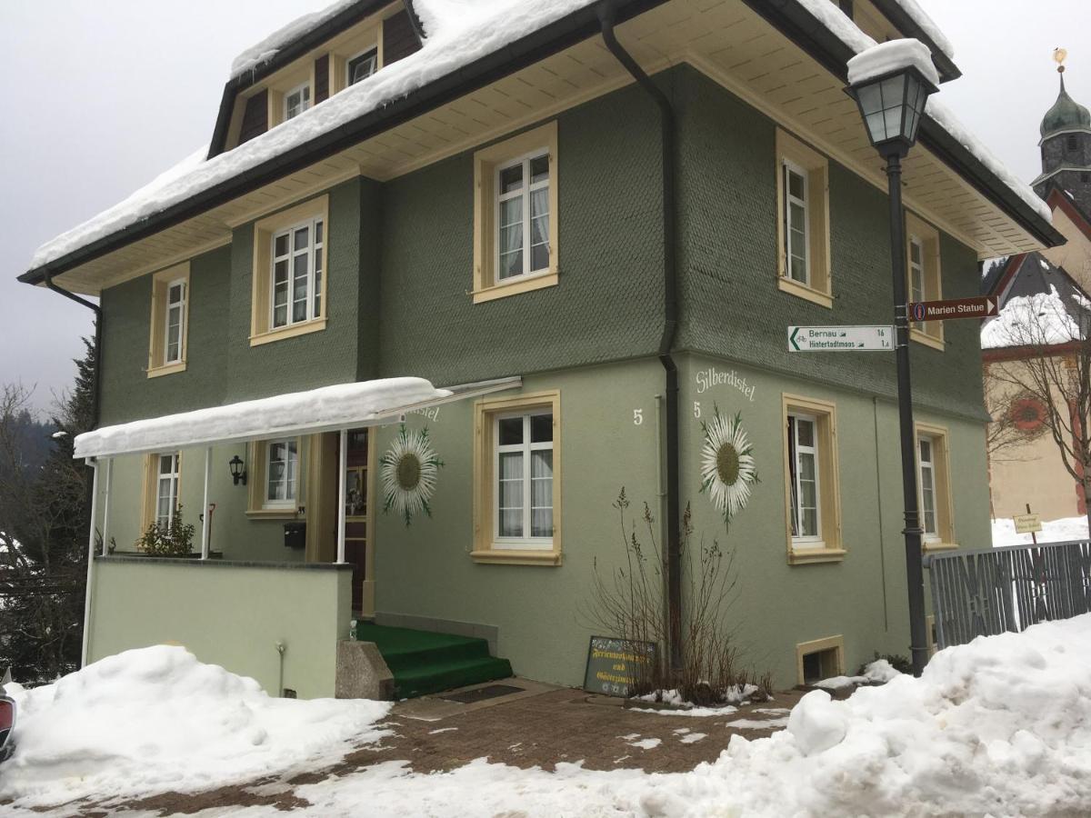 Haus Silberdistel Todtmoos