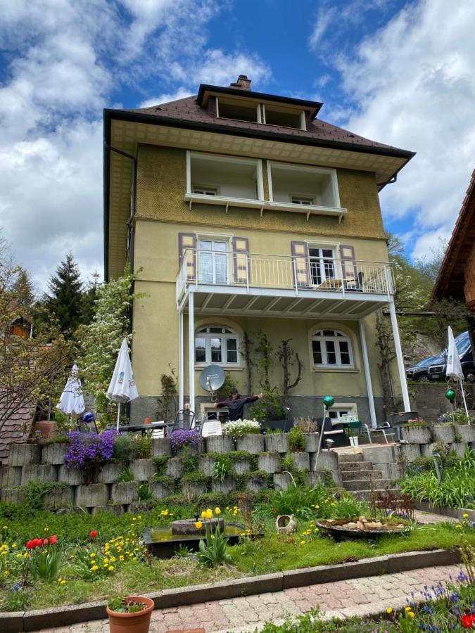Haus Silberdistel Apartment