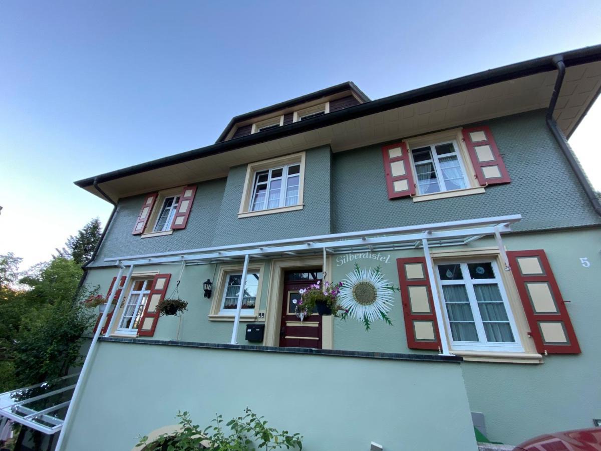 Haus Silberdistel Appartement Todtmoos